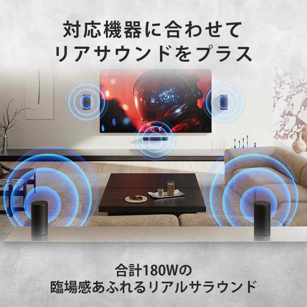 ソニー(SONY) リアスピーカー SA-RS9 BRAVIA Theatre Rear 9 画像3