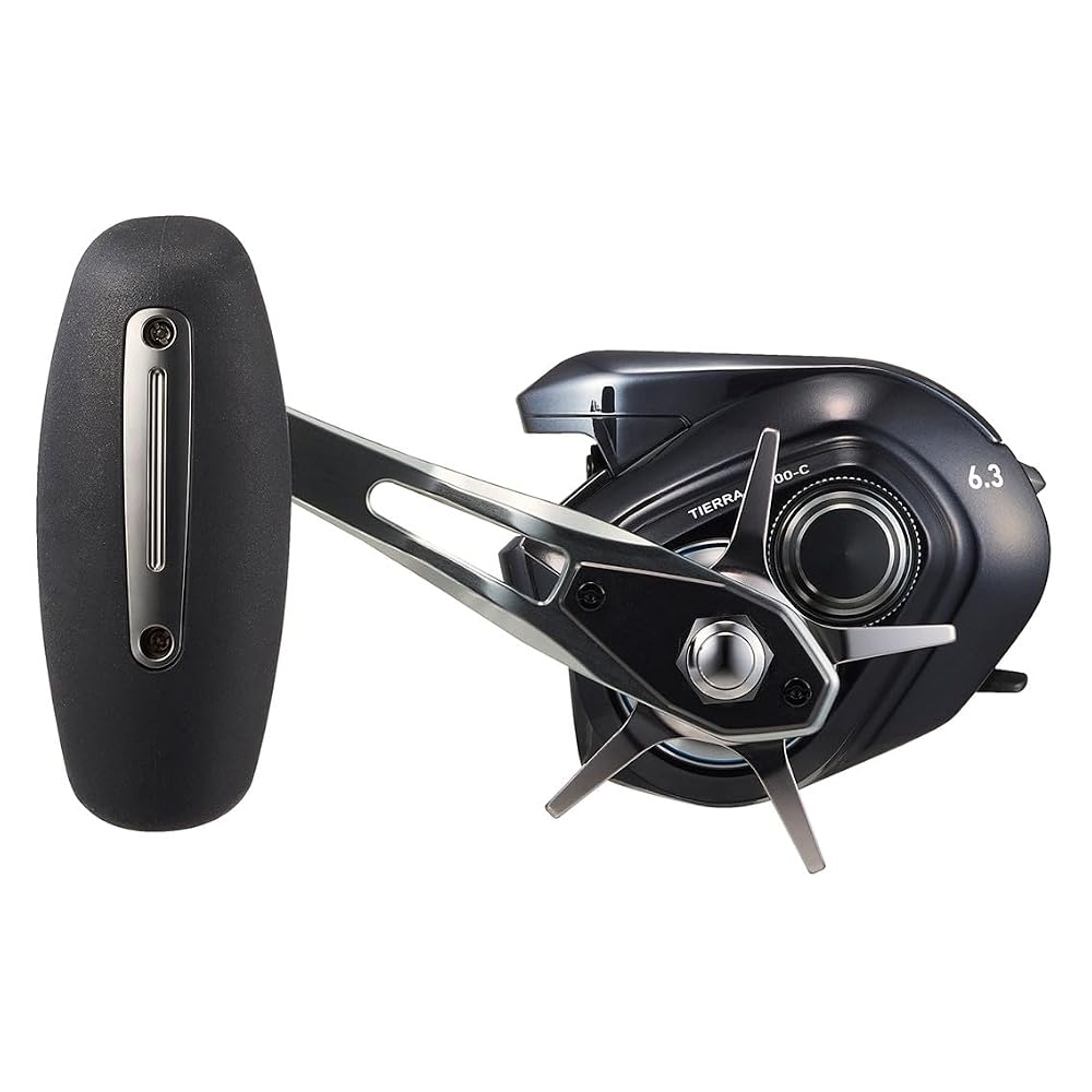 ダイワ(DAIWA) コネクテッド ベイトリール25TIERRA(ティエラ) IC 300L-C 画像5