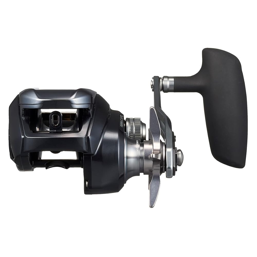 ダイワ(DAIWA) コネクテッド ベイトリール25TIERRA(ティエラ) IC 300HL-C 画像4