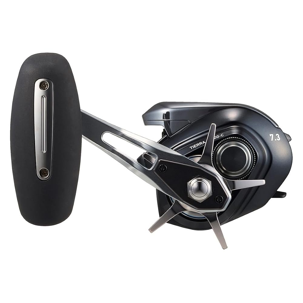 ダイワ(DAIWA) コネクテッド ベイトリール25TIERRA(ティエラ) IC 300HL-C 画像5