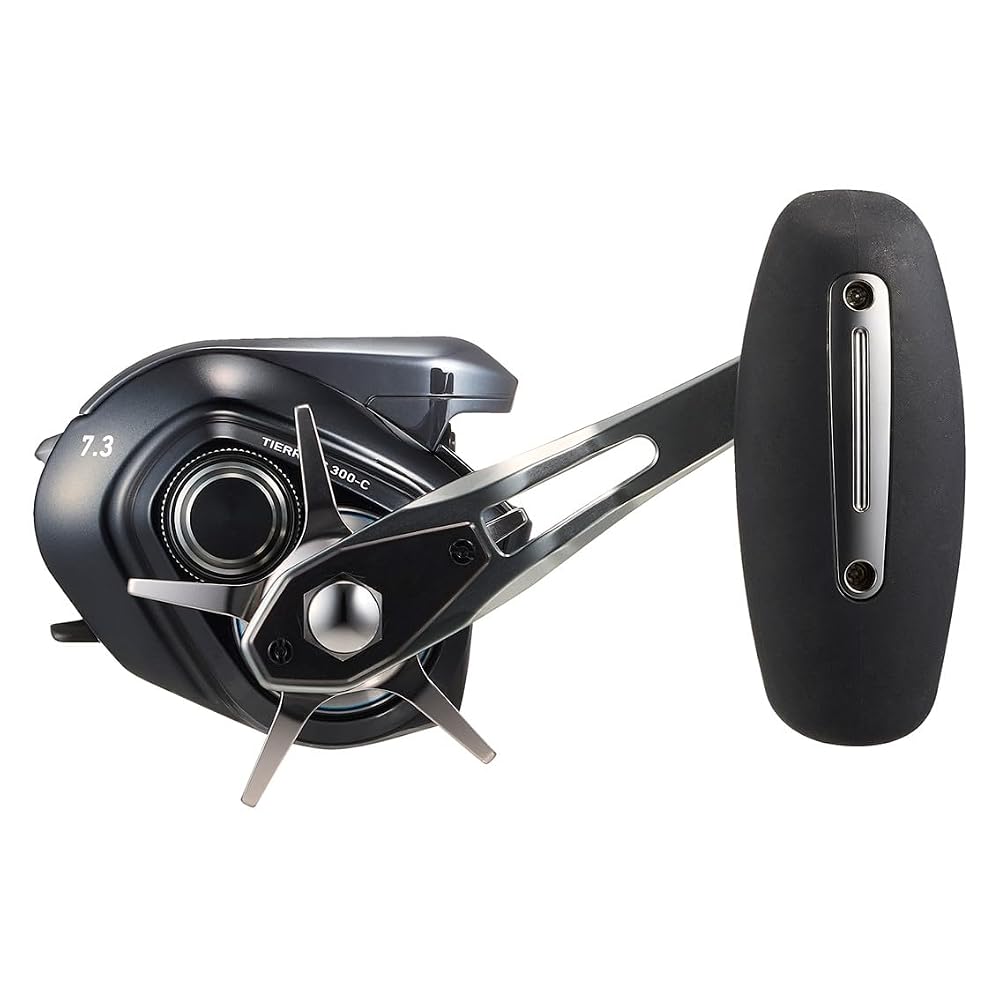 ダイワ(DAIWA) コネクテッド ベイトリール25TIERRA(ティエラ) IC 300H-C 画像5