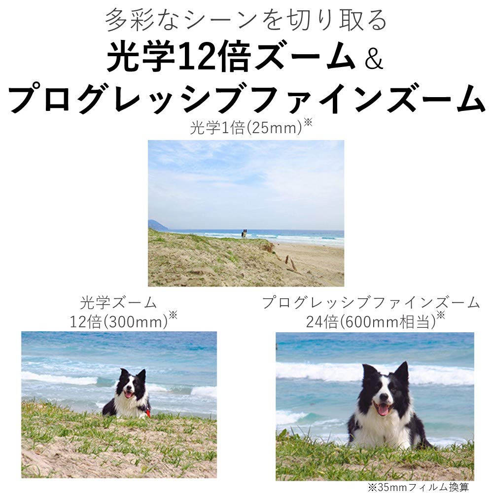 Canon コンパクトデジタルカメラ IXY 650 シルバー 光学12倍ズーム/Wi-Fi対応 IXY650SL 画像2