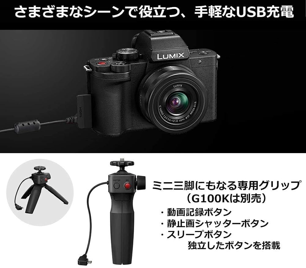 パナソニック ミラーレス一眼カメラ ルミックス G100K 標準ズームレンズキット ブラック DC-G100K-K 画像2