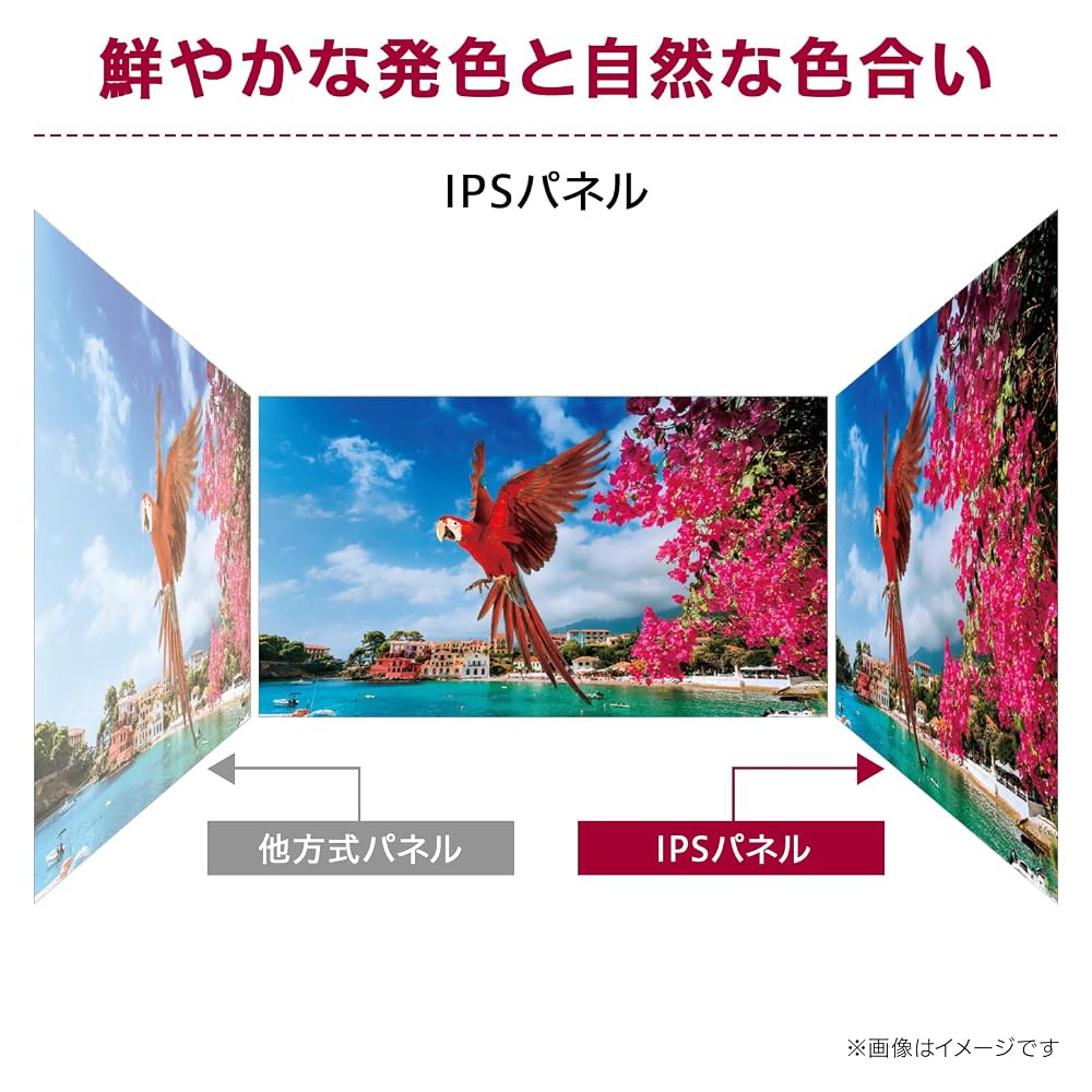 LG モニター 27MS530B-B 27インチ フルHD 100Hz IPS USB-C PD65W HDMI×2 スピーカー内蔵 メーカー3年保証 画像5