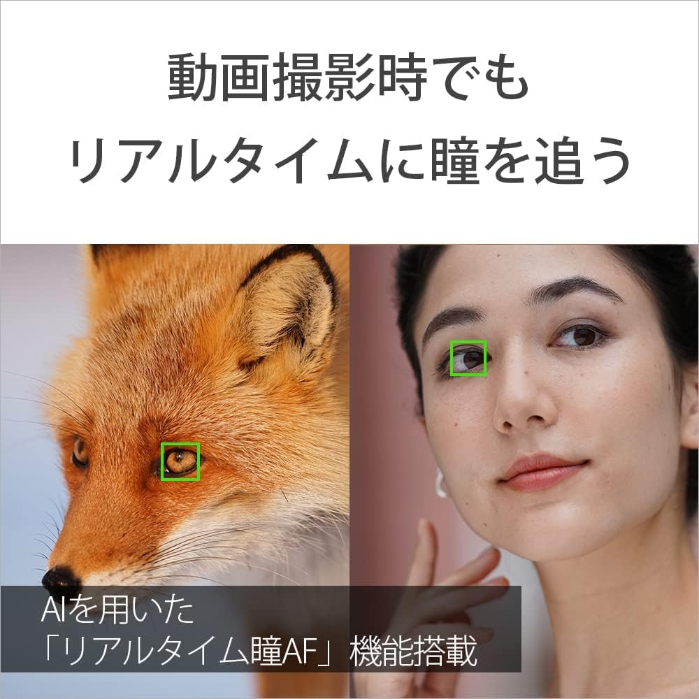 SONY(ソニー) フルサイズ ミラーレス一眼カメラ α7C ボディ(レンズなし) ブラック ILCE-7C B