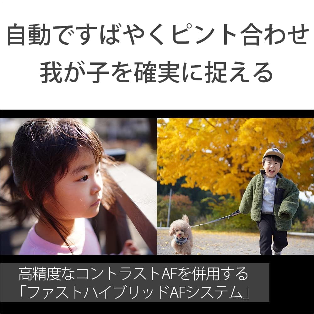 SONY(ソニー) フルサイズ ミラーレス一眼カメラ α7C ズームレンズキット(同梱レンズ:SEL2860) ブラック ILCE-7CL B