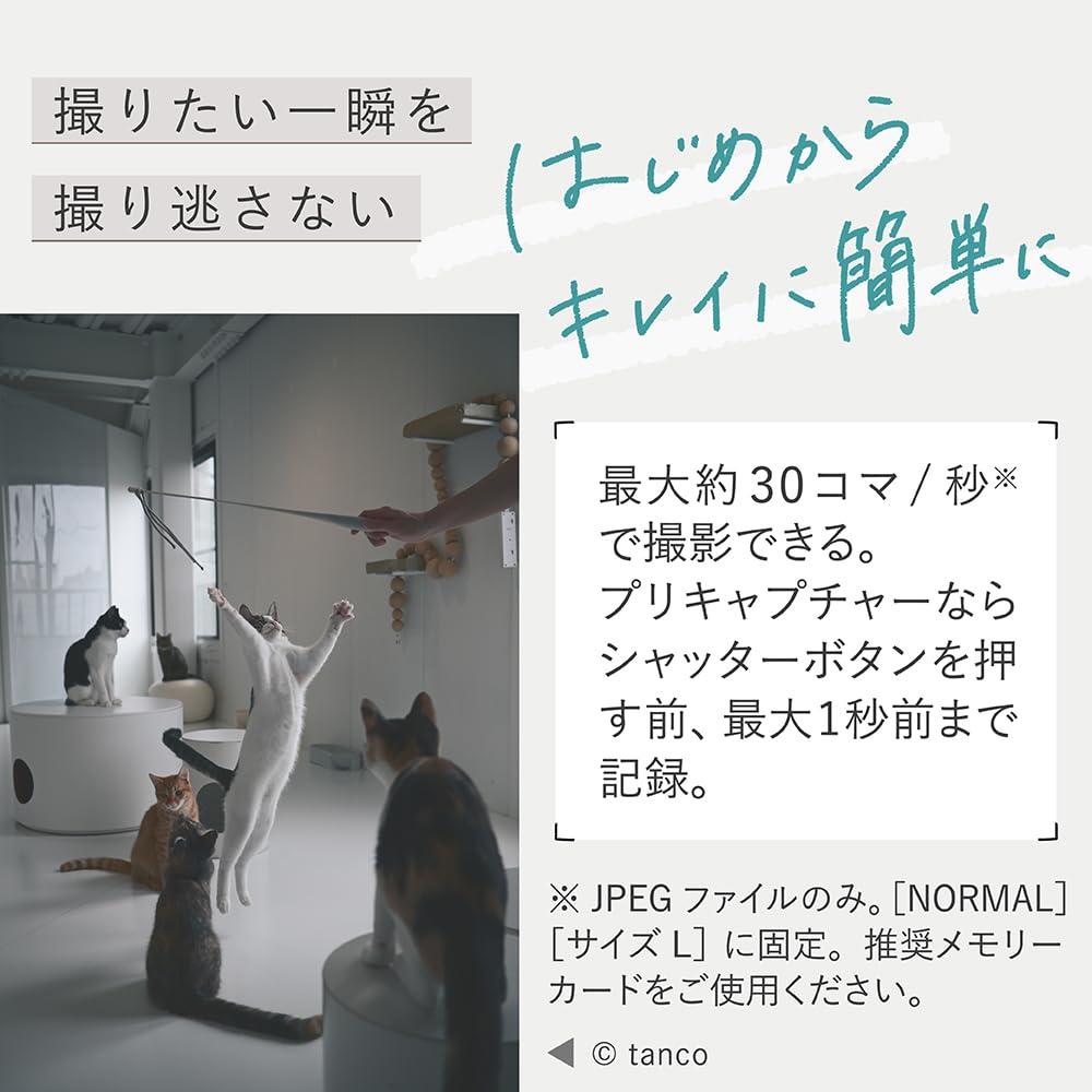 ニコン Nikon Z50II 18-140 VR レンズキット ミラーレス一眼 APS-C DXフォーマット イメージングレシピ対応 4K UHD 60p 画像4