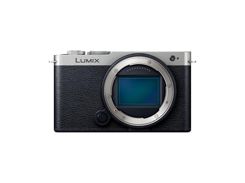 パナソニック フルサイズ ミラーレス一眼カメラ LUMIX S9 ボディ 2420万画素 Lマウント ダークシルバー DC-S9-S