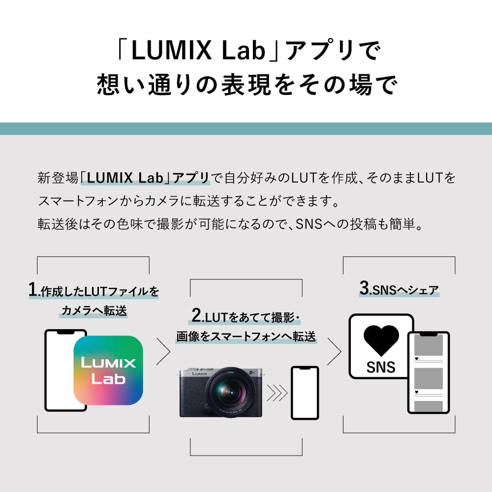 パナソニック フルサイズ ミラーレス一眼カメラ LUMIX S9 ボディ 2420万画素 Lマウント ダークシルバー DC-S9-S