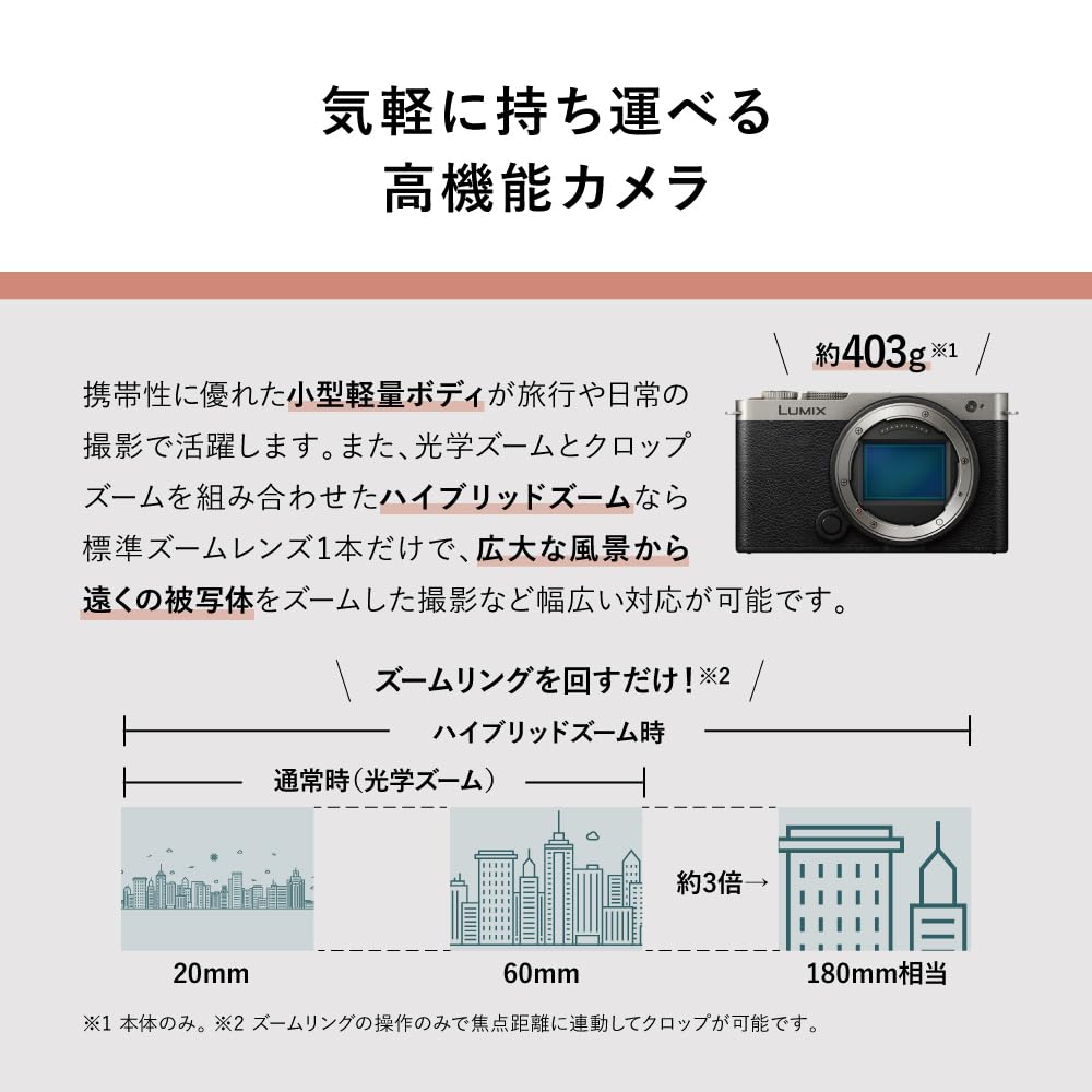 パナソニック フルサイズ ミラーレス一眼カメラ LUMIX S9 ボディ 2420万画素 Lマウント ダークシルバー DC-S9-S