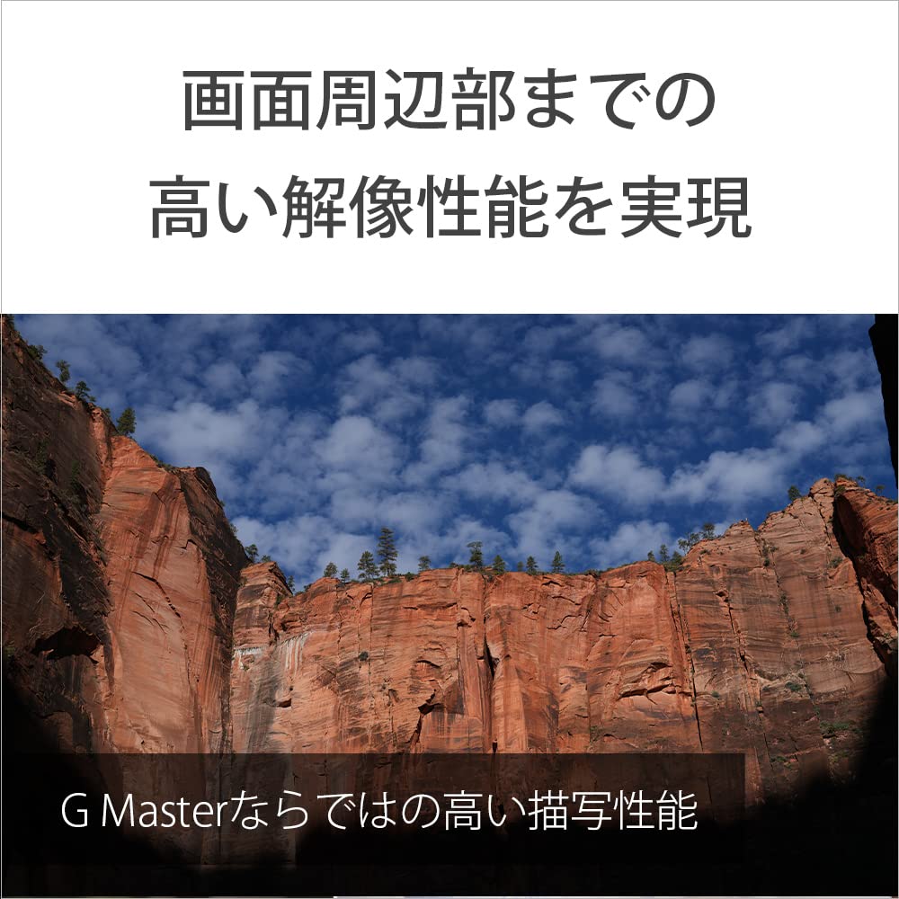 ソニー 標準単焦点レンズ FE 50mm F1.4 GM G Master フルサイズ対応 Eマウント SEL50F14GM