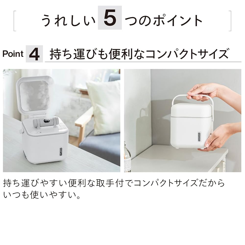 ツインバード フェイススチーマー 美顔器 ダブルスチーム イオンスチーム ミラー付 コンパクト ホワイト ESH-2787W