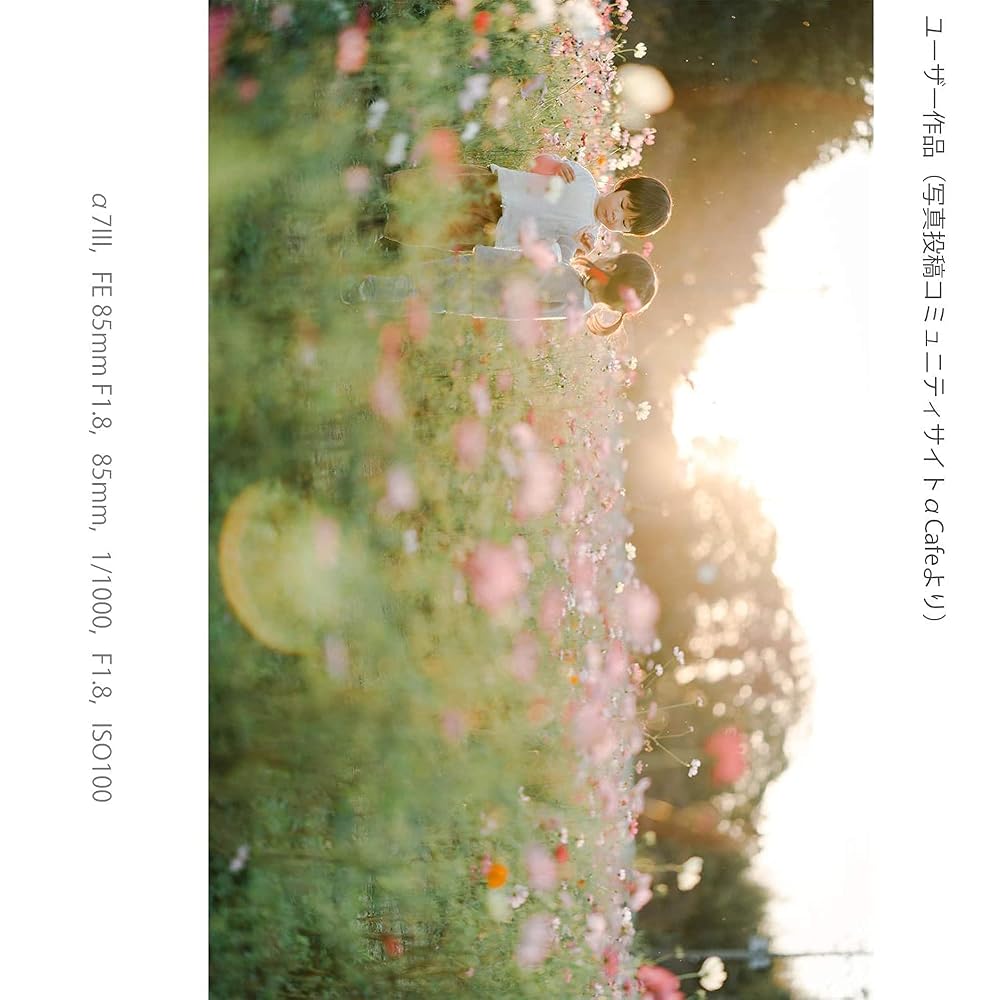 ソニー SONY α7 III ILCE-7M3K ズームレンズキット FE 28-70mm F3.5-5.6 OSS付 ブラック フルサイズミラーレス一眼 有効約2420万画素 画像6