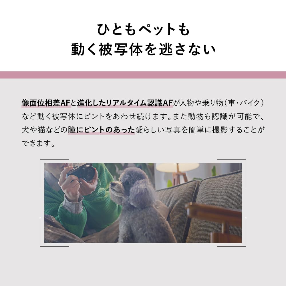 パナソニック(Panasonic) フルサイズ ミラーレス一眼カメラ ルミックス S9H-S 高倍率ズームレンズキット ダークシルバーシルバー DC-S9H-S 画像5
