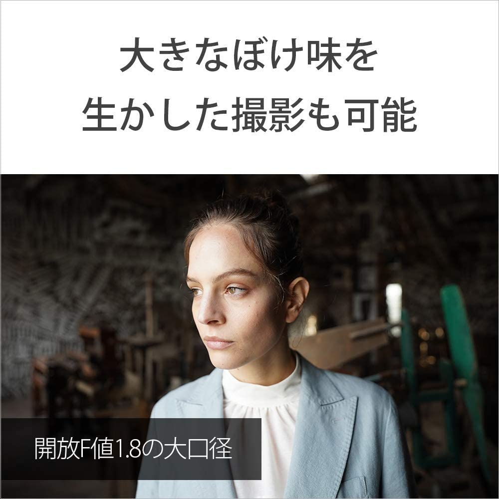 ソニー / 広角単焦点レンズ / フルサイズ / FE 20mm F1.8 G / Gレンズ / デジタル一眼カメラα[Eマウント]用レンズ / SEL20F18G 画像6